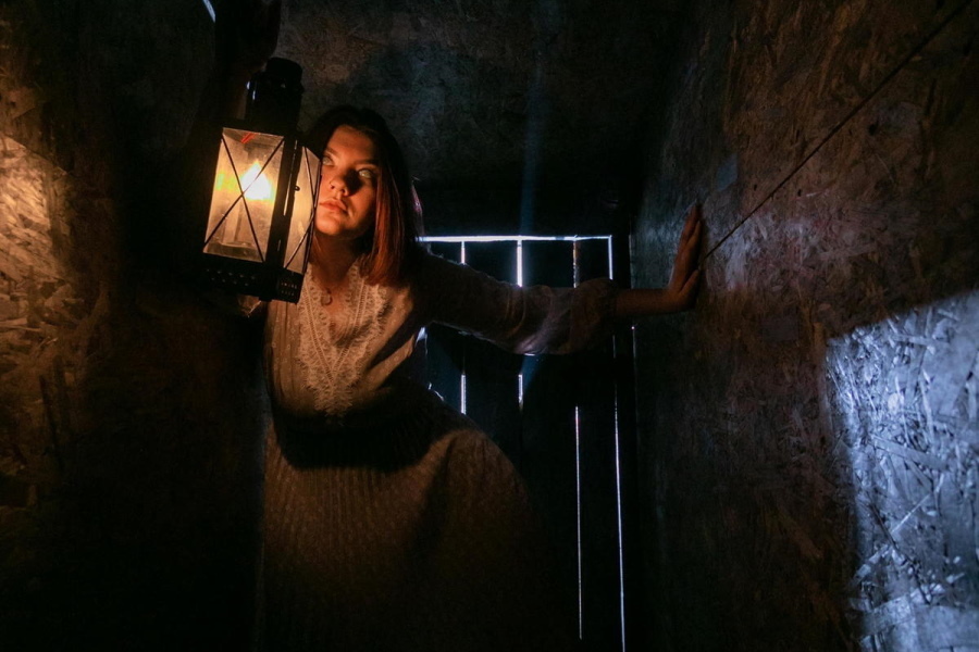 Квест в реальности Пришествие. Дом теней 2 от компании Lost in the Dark Квест в реальности Пришествие. Дом теней 2 от компании Lost in the Dark