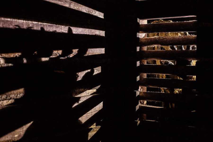 Квест в реальности Дом теней от компании Lost in the Dark Квест в реальности Дом теней от компании Lost in the Dark